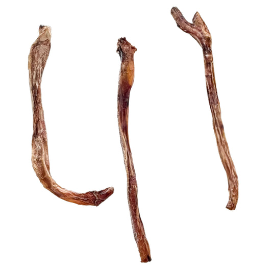 MooStick | Texas Beef Bully Stick - 12 Count