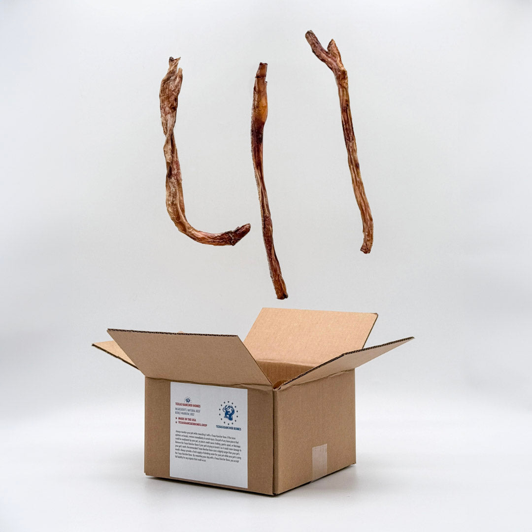 MooStick | Texas Beef Bully Stick - 12 Count