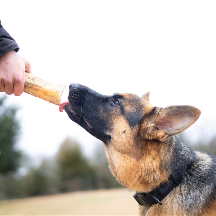 Canoe Cut Marrow Bones